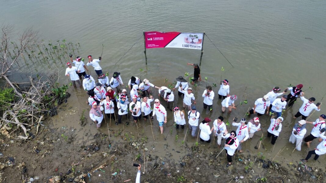 Jaga Pesisir dari Abrasi, PT MILabs dan DLH Bekasi Tanam 1.500 Bibit Mangrove di Babelan